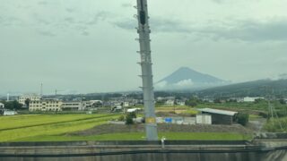 田螺の糸